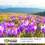 Good Morning Giewont & Jacuzzi * Kościelisko