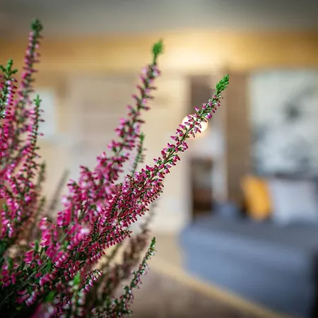 Apartament Good Morning Giewont & Jacuzzi