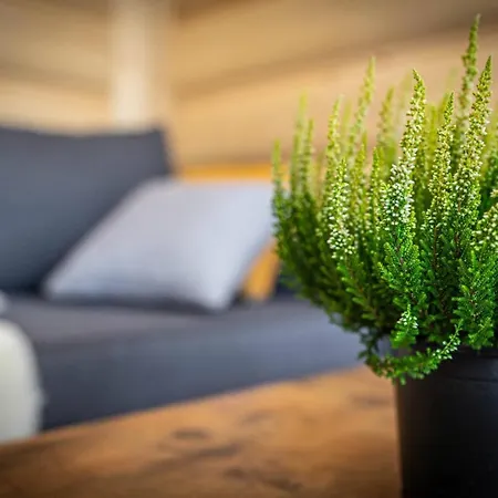 Apartament Good Morning Giewont & Jacuzzi *