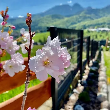 Good Morning Giewont & Jacuzzi Apartamento *