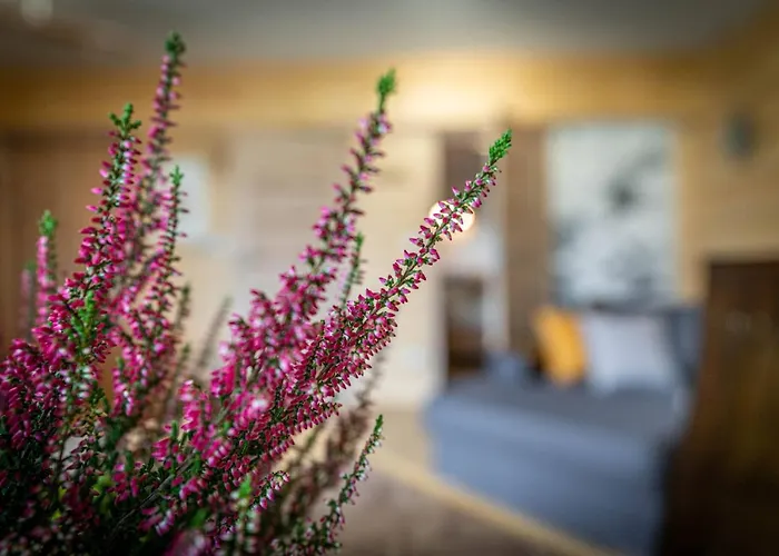 Apartment Good Morning Giewont & Jacuzzi