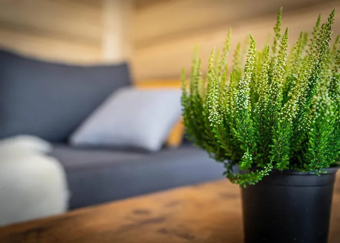 Apartment Good Morning Giewont & Jacuzzi *