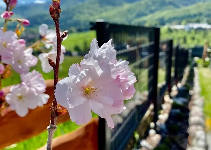 Good Morning Giewont & Jacuzzi Apartment *