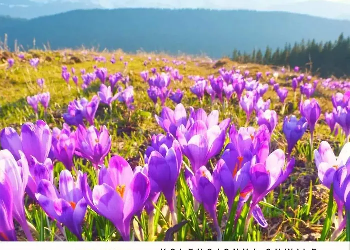 Good Morning Giewont & Jacuzzi * Kościelisko